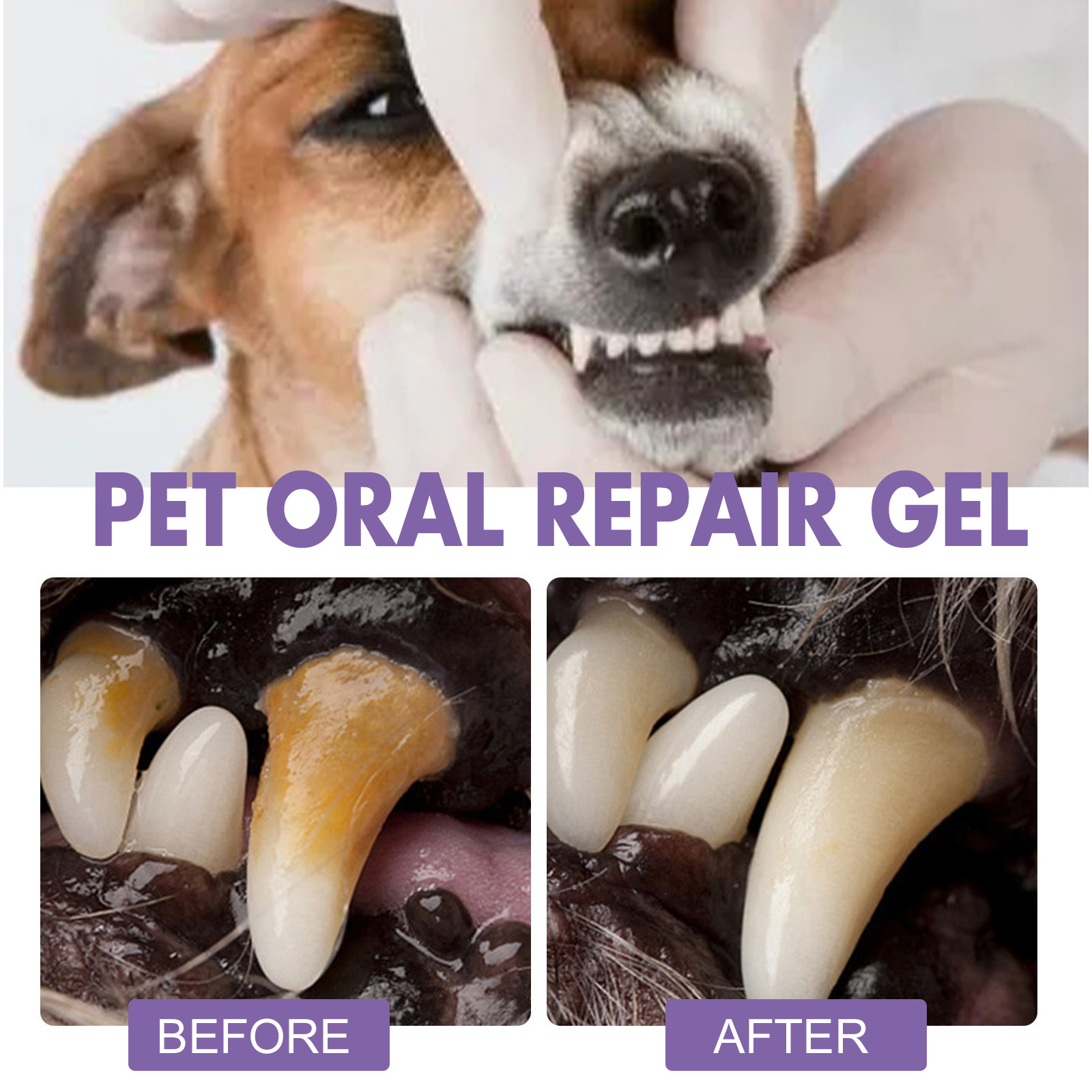 Gel perbaikan mulut hewan peli - Teeth Whitening Groupon ulasan dan harga